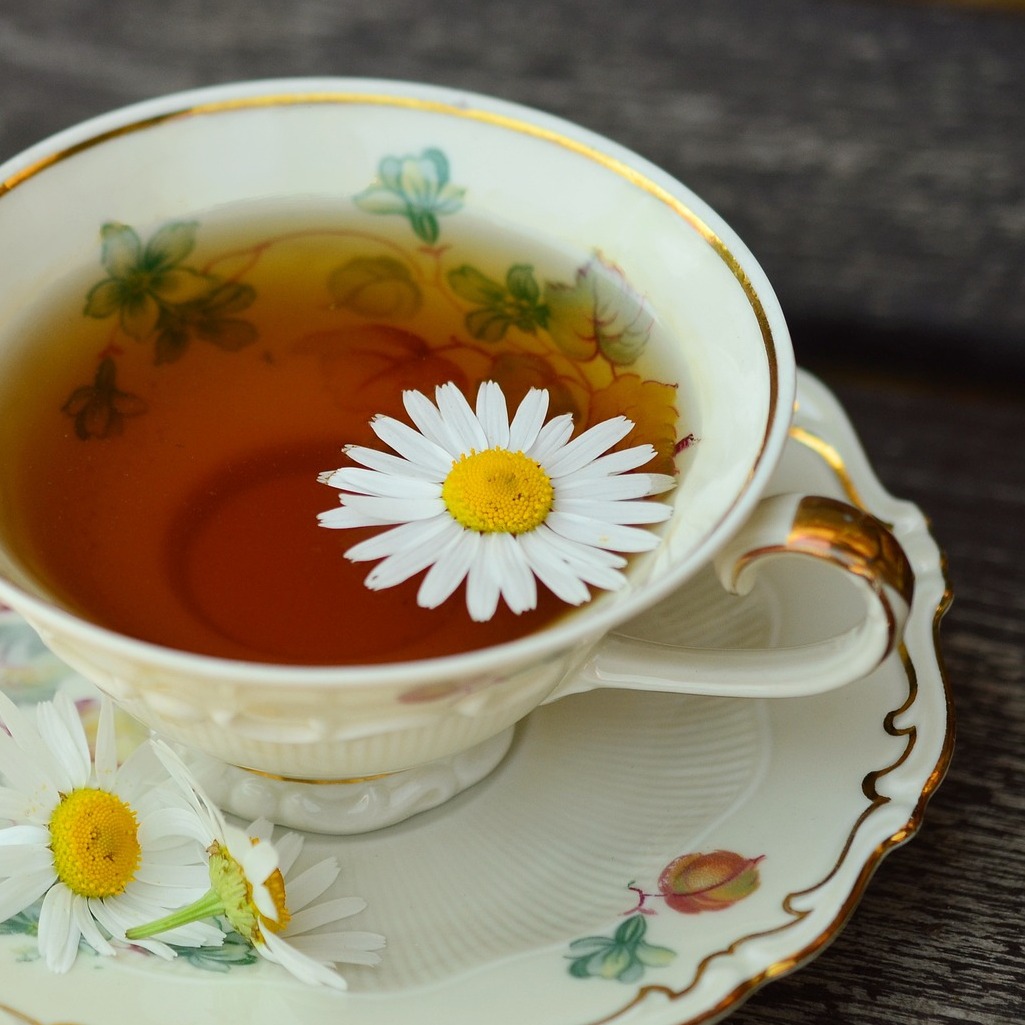 cup-829527_1920